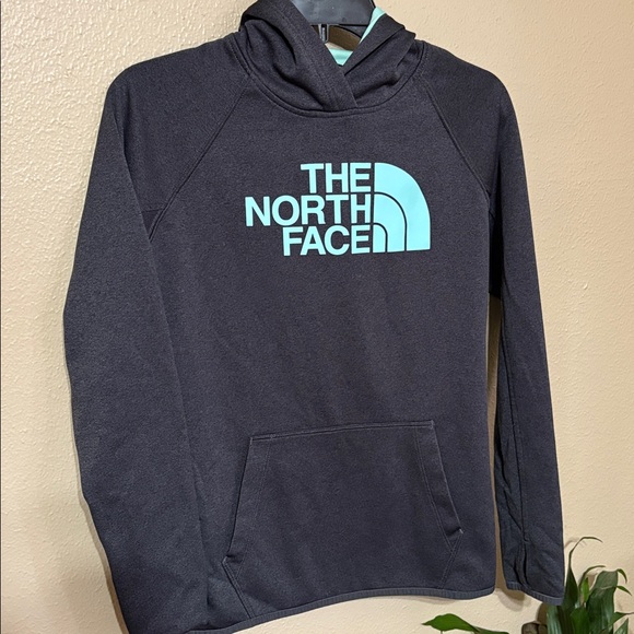 The North Face Charcoal Hoodie with Aqua Logo - Picture 1 of 9